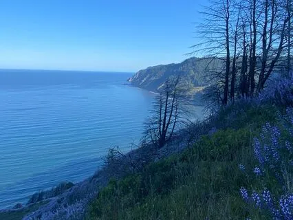 Alchemizing Fear: A Path Back To Love & Joy