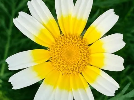 Algarve Rain - Relaxation Resonates, Invigorating Harmony