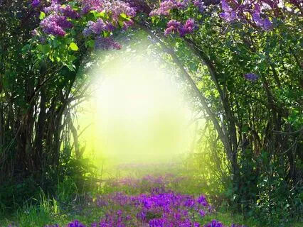 Alice In Wonderland - Complete Reading