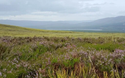 Alice's Adventures In Wonderland By Lewis Carroll: Chapter 2