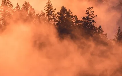 Align The Chakras & Full Body Aura Cleanse