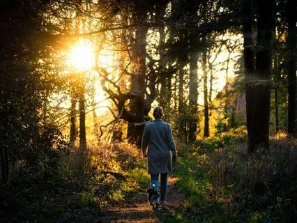 Align To God's Plan For You