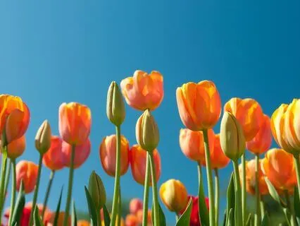 Align With Abundance — 396 Hz + 888 Hz Tuning Forks