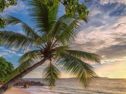 Align With Abundance: Attract Wealth Now | 50 Hz