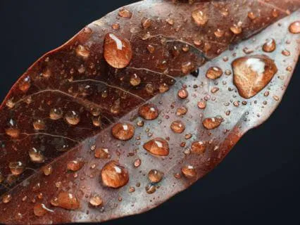 Align With Money Energy