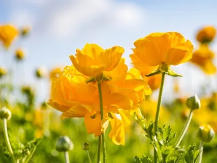 Align With The Frequency Of Your Future Self