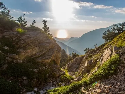 Align With Your Heart Path