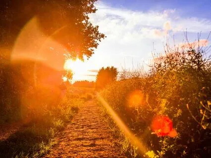 Align With Your Intentions For The New Year