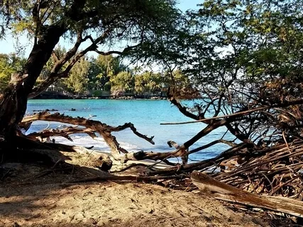 Align With Your Life Purpose Through The Hara Line