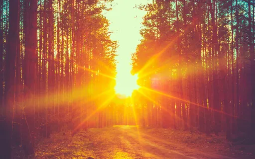 Align With Your Soul Purpose