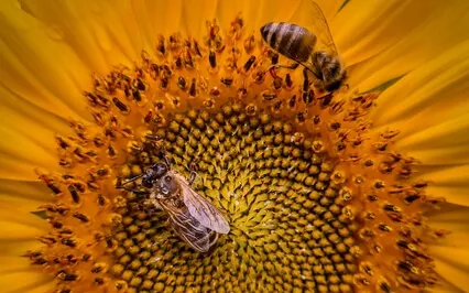 Align Your Chakras To Attract Clients