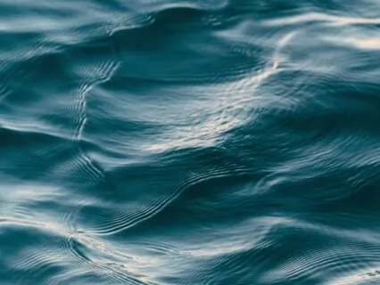 Align Your Energy Meditation