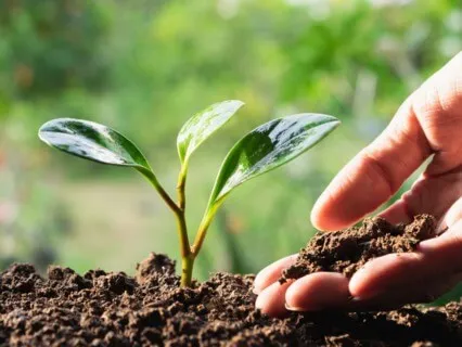 Align Your Energy With The Energy Of Abundance