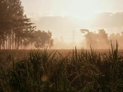 Align Your Life For Manifesting Success