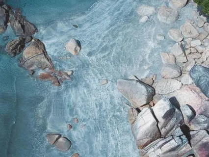 Aligning Mind And Heart | A Gentle New Year Meditation