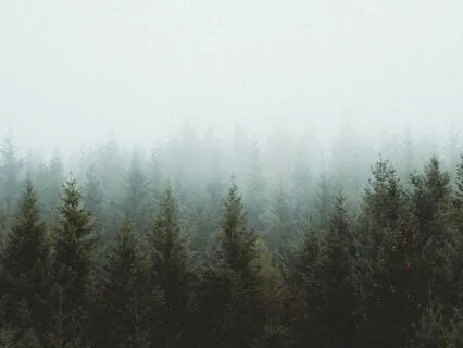 Aligning To The Energies Of 2025