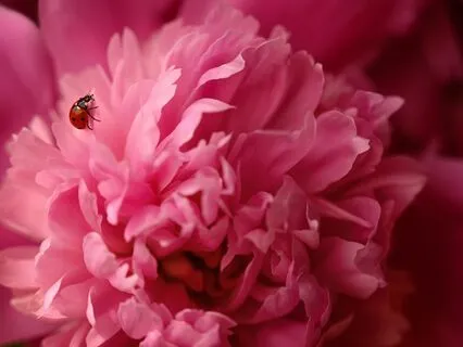 Aligning With Abundance