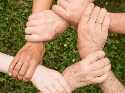 Aligning With Differing Opinions: A Tarot & Oracle Journey