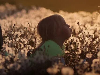 Aligning With Ease Instead Of Effort