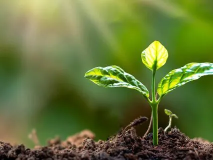 Aligning With Health