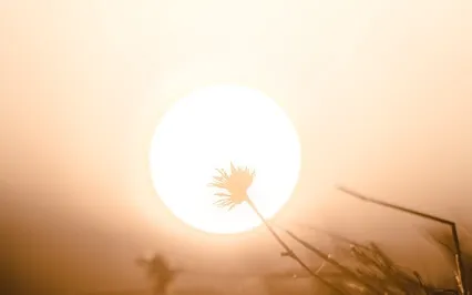 Aligning With Inspired Action