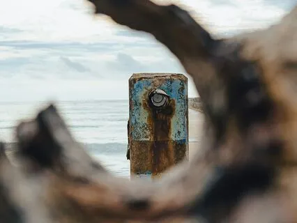 Aligning With Life's Sacred Living System