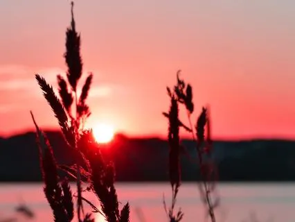 Aligning With Serenity, Joy, And The Power Of Peace