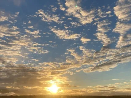 Aligning With Success