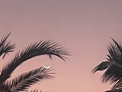 Aligning With The Energy Of Manifestation