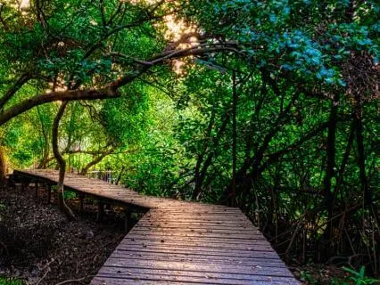 Aligning With The Year Ahead – Gentle EFT Tapping