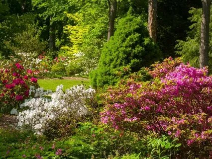 Aligning With Your Abundance & Confidence Meditation