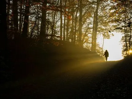 Aligning With Your Future Healthy Self