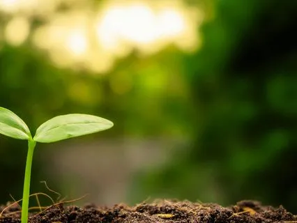 Aligning With Your Goals: A Grounded Intention Meditation