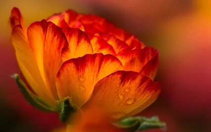 Aligning With Your Life Purpose