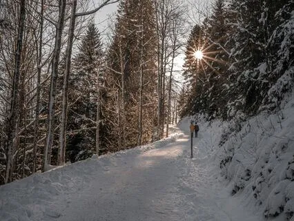 Aligning With Your True Path