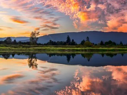 Aligning Your Intuition Activation