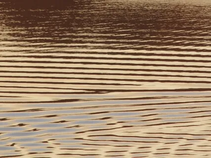 Alignment II: Music for Connection