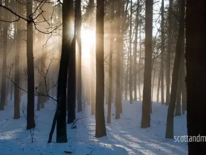 Alignment Meditation