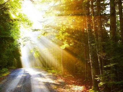 Alignment Recalibration Meditation