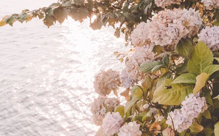 Alignment Sound Bath