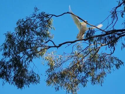 Alignment With Inner Being