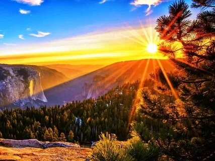 Alignment With Your Primordial Song