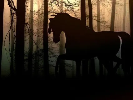 Alina And The Pathway of Light