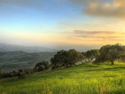 Alius Chorum - Deep Relaxation/Inner Peace - (Binaural 7Hz)