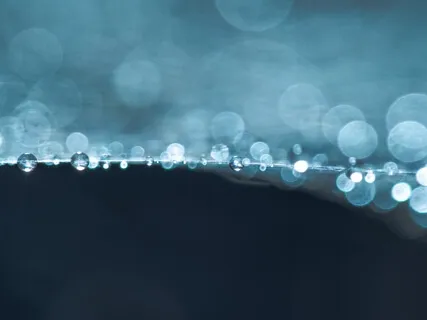 Alive & Welcome  - Deep Rest Meditation 