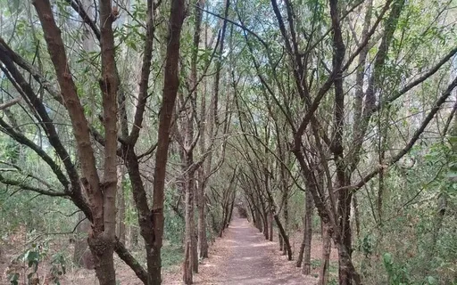 Aliviar o Stress: Respiração Profunda