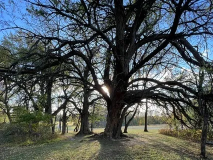 All 7 Chakra Affirmations With Music