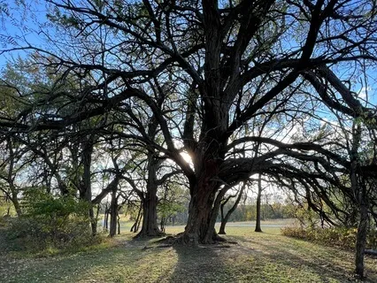 All 7 Chakra Affirmations Without Music