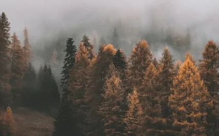 All 7 Chakras Cleanse & Aura Detox