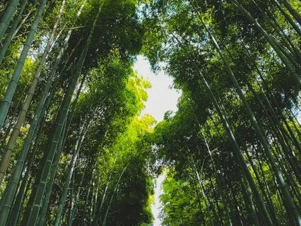 All 9 Solfeggio Frequencies At Once (Ambisonic Music)